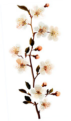 A bunch of peach blossoms light pink and white flowers generative AI