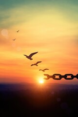 Fototapeta premium Birds flying free at sunset broken chains