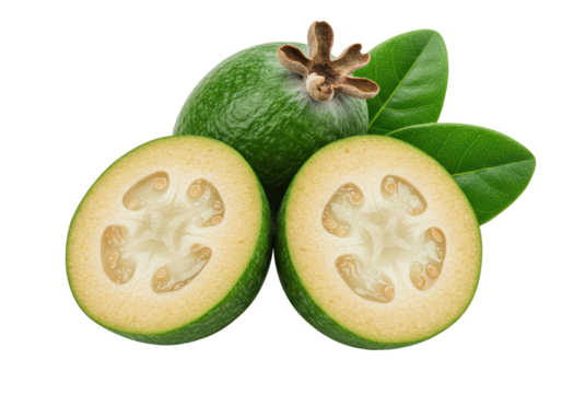 Isolated Feijoa Fruit Cross Sections with Leaves