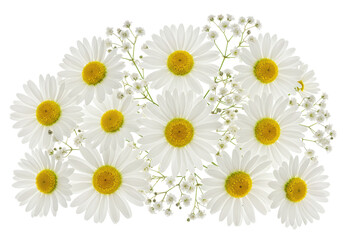 Isolated Bouquet of White Daisies and Baby's Breath