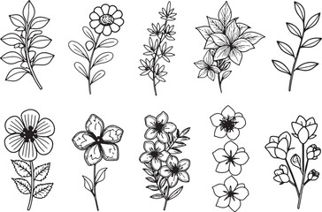 set of 12 minimalist line art wildflowers