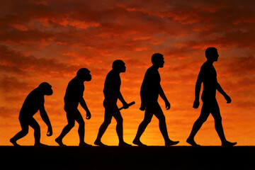 Fototapeta premium Human evolution silhouettes sunset background
