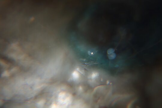 Abstract ethereal orbs and filaments detail