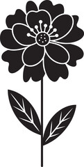 Fototapeta premium black and white flower
