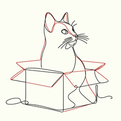 Cat sitting in cardboard box