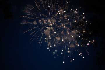 Fireworks in the sky