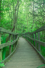 Fototapeta premium Views of A Public Country Parkland