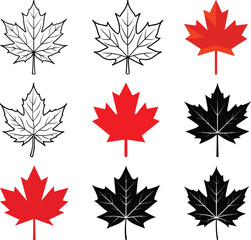 Canadian Maple Leaf Collection: A detailed compilation showcases various styles of the iconic maple leaf, capturing a spectrum of designs and colors, from intricate outlines to bold, solid hues.