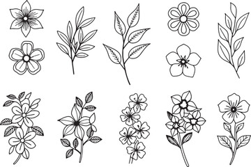 set of 12 minimalist line art wildflowers