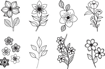 set of 12 minimalist line art wildflowers