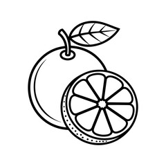 Whole orange and slice line art illustration