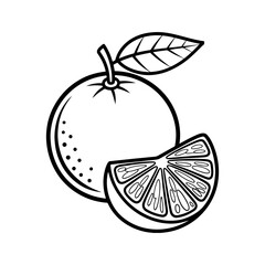 Whole orange and slice line art illustration