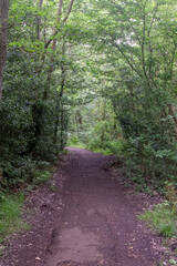 Views of A Public Country Parkland