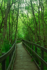 Views of A Public Country Parkland