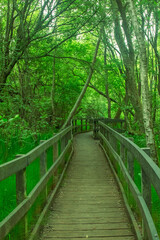 Views of A Public Country Parkland