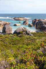 Curious rock formations beside the Southern Ocean at Elephant Rocks on the edge of William Bay National Park in the Shire of Denmark, Great Southern region of Western Australia, WA, Australia.