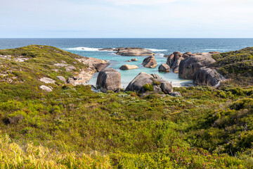 Curious rock formations beside the Southern Ocean at Elephant Rocks on the edge of William Bay National Park in the Shire of Denmark, Great Southern region of Western Australia, WA, Australia.