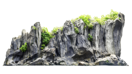 rock cliff decoration with plants isolated on transparent background. aquarium or aquascape decoration