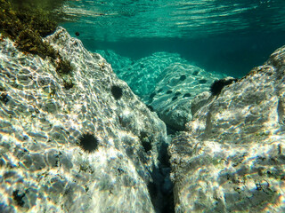Dark blue ocean surface seen from underwater. Abstract waves underwater and rays of sunlight shining through, Sun light rays undersea deep, Underwater background with sea bottom, Mediterranean sea.