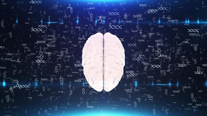 Human Brain Amidst Floating DNA Strands and Chemical Formulas in Digital Space - Powered by Adobe