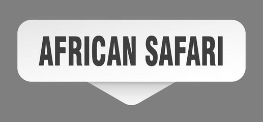 african safari sticker. african safari sign isolated on gray background
