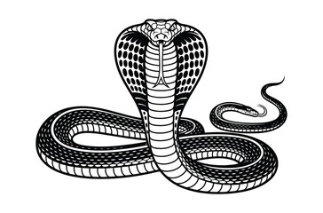 Fototapeta premium King kobra snake vector illustration