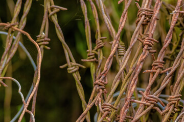 Rusty barbed wire coiled in the corner of a shed; close-up view captured in a farm in the eastern Andean mountains of central Colombia, near the Iguaque natural reserve.