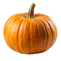 Obraz premium Pumpkin Isolated on White Background