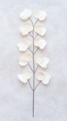White Paper Eucalyptus Branch Flatlay