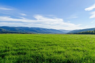 Obraz premium valley between hills, grassy foreground