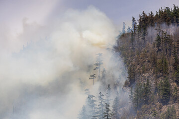 Forest Fire Spreading in Squamish, British Columbia, Canada with Heavy Smoke