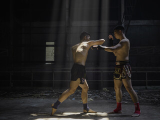Muay Thai fighters are captured in a striking, low-lit environment, showcasing their intense training or sparring session.