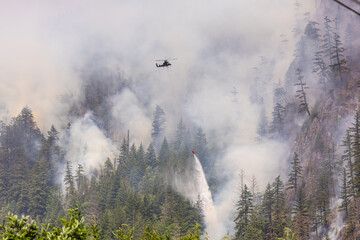 Helicopter Extinguishing Forest Fire Amidst Dense Smoke in Squamish, BC, Canada