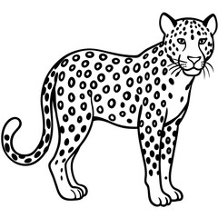 Leopard Layers line art vector