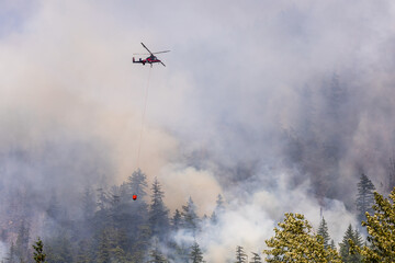 Helicopter Fighting Forest Fire Amid Dense Smoke in Squamish, BC, Canada