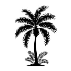 palm tree silhouette