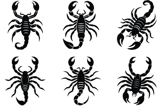 scopion vector