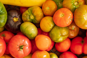 A basket filled with colorful heirloom tomatoes showcases nature's bounty