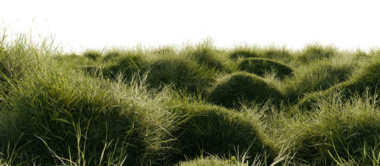 Hills with grass on a transparent background. 3D rendering.	
