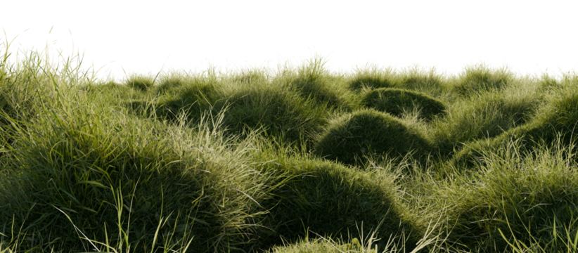 Hills with grass on a transparent background. 3D rendering.	
