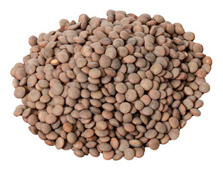 Pile of brown pardina lentils cut out