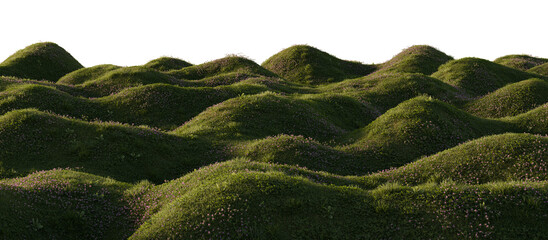 Hills with grass on a transparent background. 3D rendering.	
