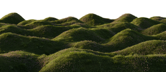 Hills with grass on a transparent background. 3D rendering.	
