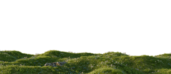 Hills with grass on a transparent background. 3D rendering.	
