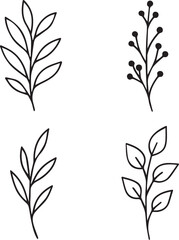 Elegant Minimalist Botanical Illustrations Four Simple Line Art Drawings of Leaves and Berries Perfect for Design Projects, Logos, and More