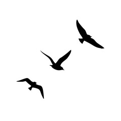 Silhouette of a flock of seagulls flying against a plain background.



