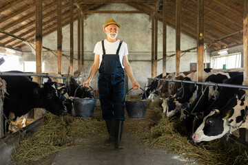 A farmer walks through the barn carrying buckets, demonstrating daily tasks and the essence of farm life in rural settings.