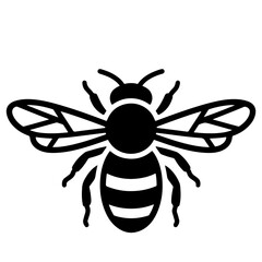 Black and white bee vector illustration, insect design element