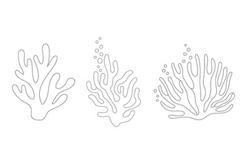 Outlined seaweed with bubbles in a simple drawing
