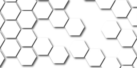 Abstract White Hexagonal Background. Luxury White Pattern. White hexagon 3D background texture. modern abstract polygonal pattern.  white and black lines 3d Hexagonal. honeycomb white Background.